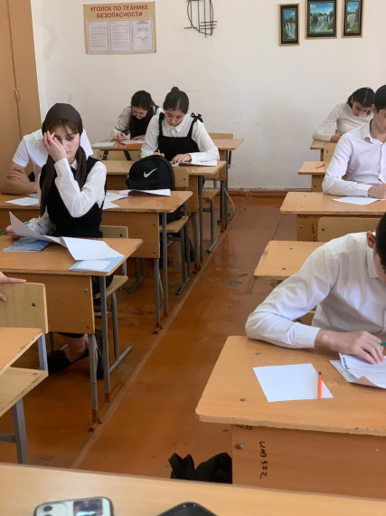 Пробное диагностическое тестирование по русскому языку.