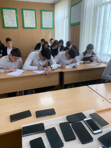 Пробный экзамен по литературе.